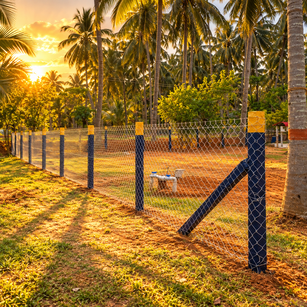 Chain Link Fence