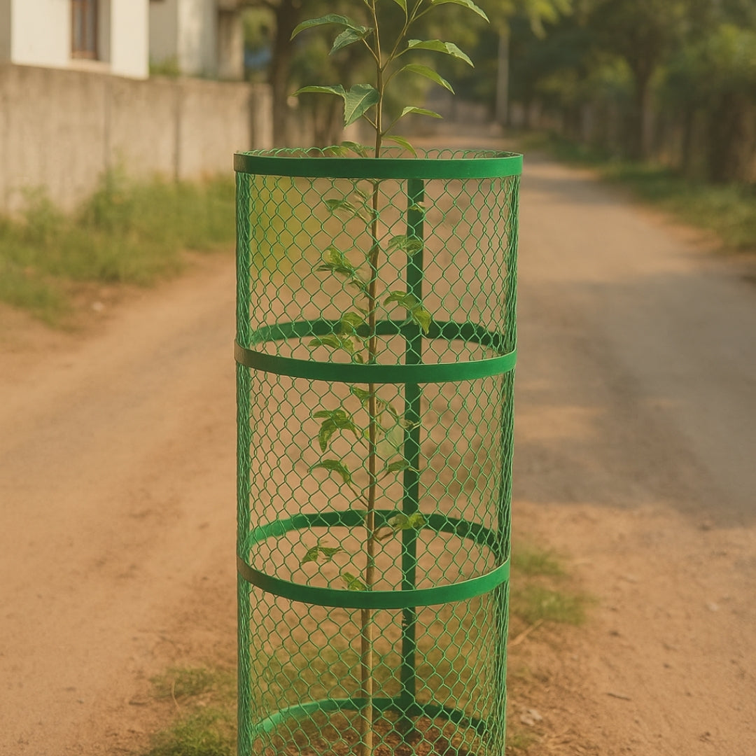 Tree Guard Fence
