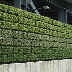 Green Wall Fence