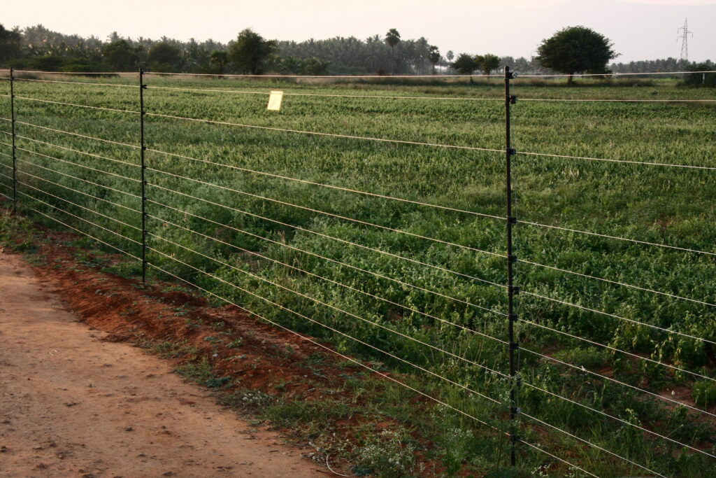 Electric fencing in fields